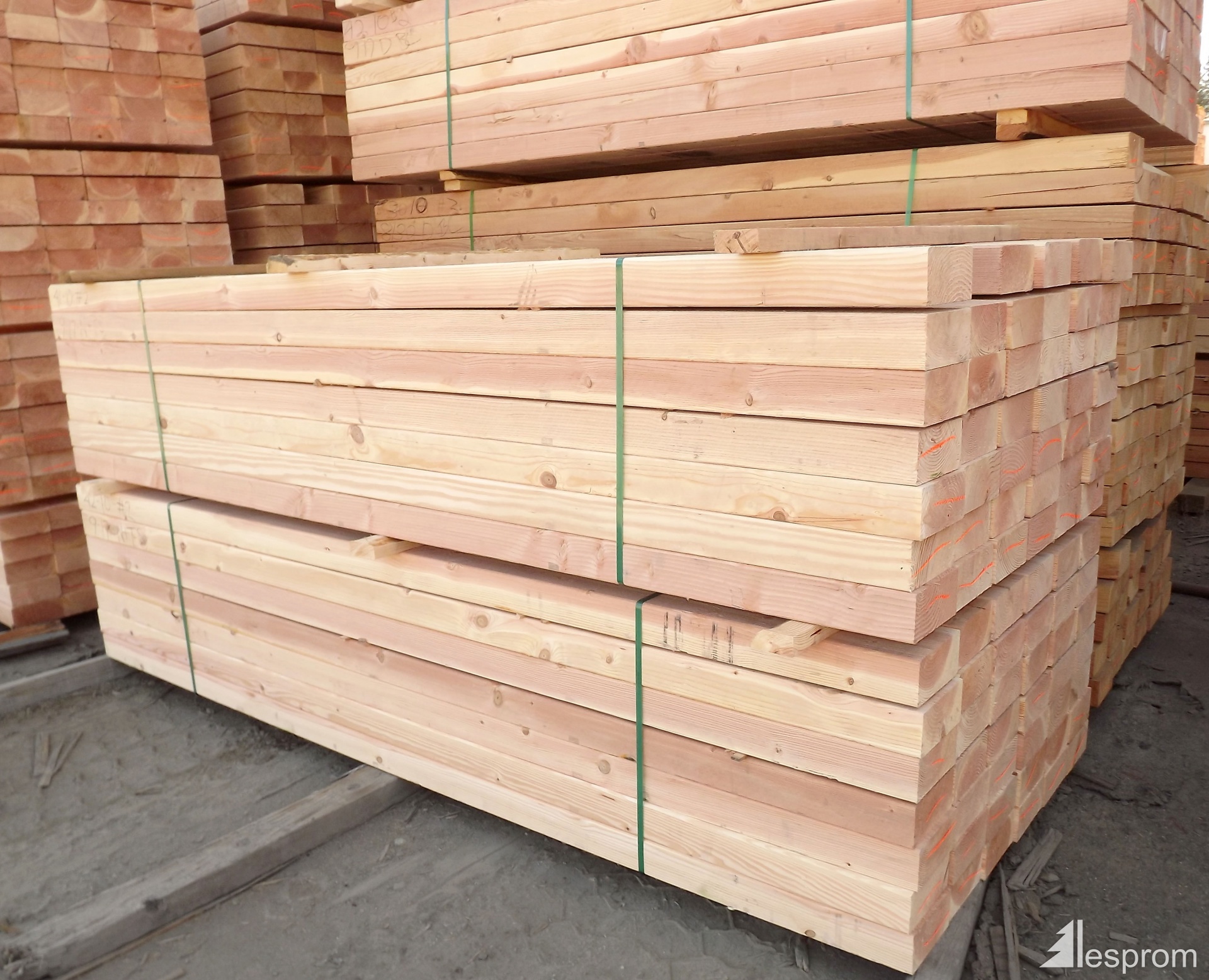 European Hardwoods
