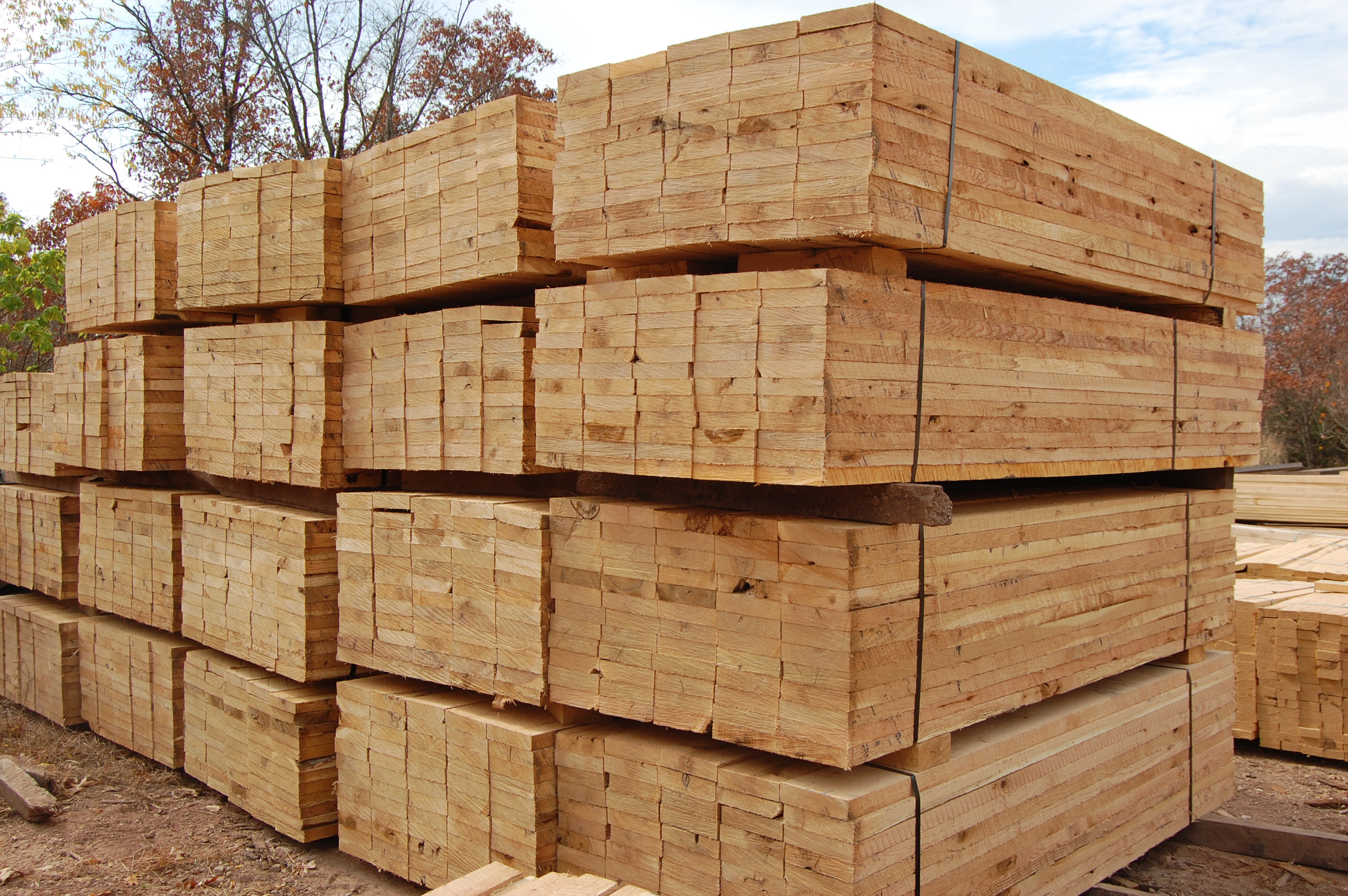 Oak wood lumber